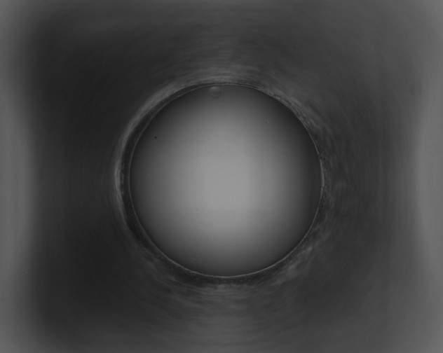 X0000100970244200806241210