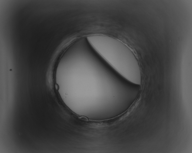 X0000100970245200806241210