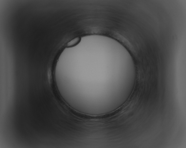 X0000100970251200806241210