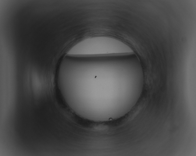 X0000100970258200806241210