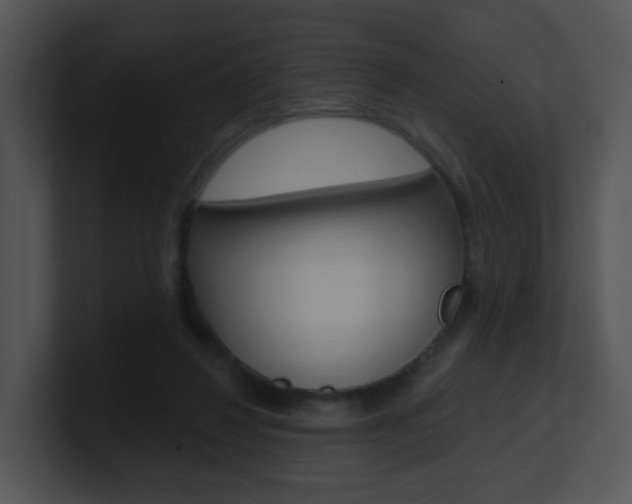 X0000100970260200806241210