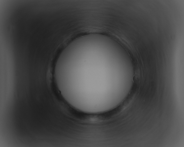 X0000100970264200806241210