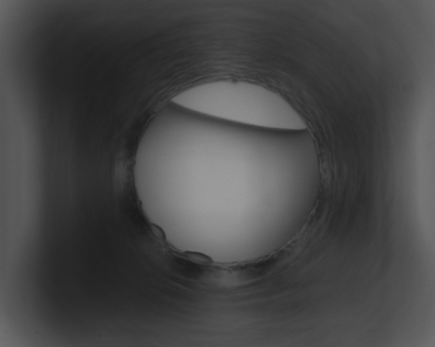 X0000100970276200806241210