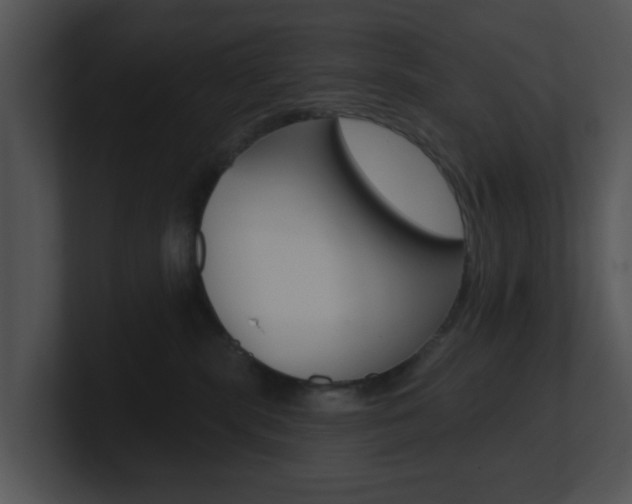 X0000100970283200806241210