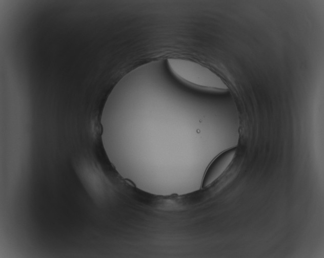 X0000100970285200806241210