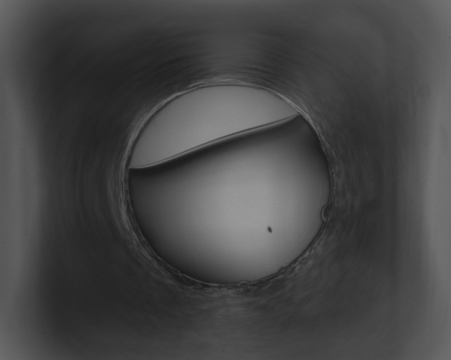 X0000100970289200806241210