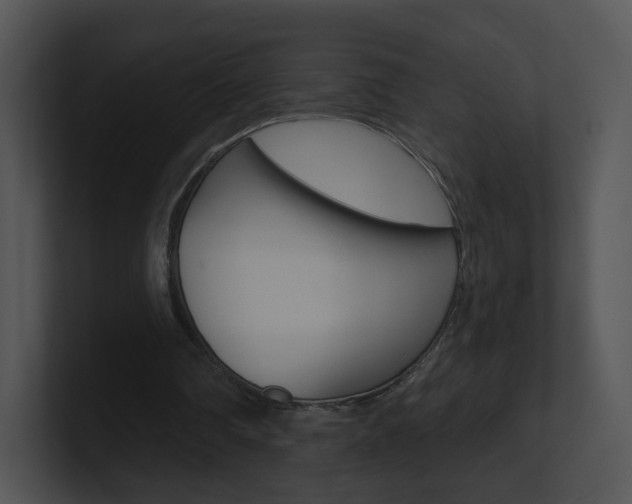 X0000100970290200806241210