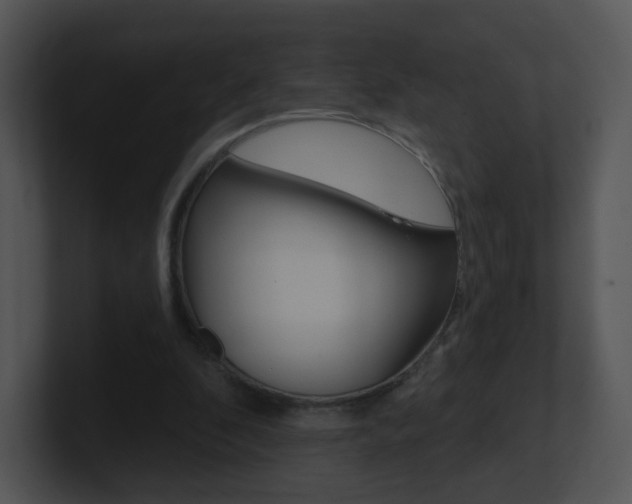 X0000100970296200806241210
