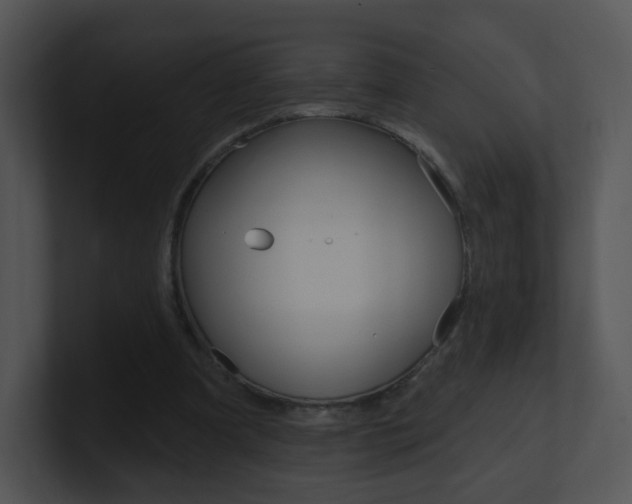 X0000100970297200806241210