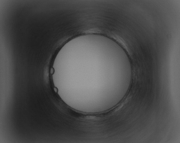 X0000100970298200806241210