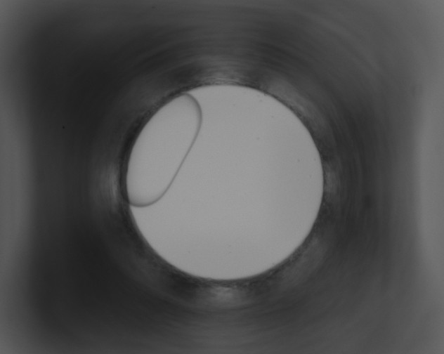 X0000100970302200806241209