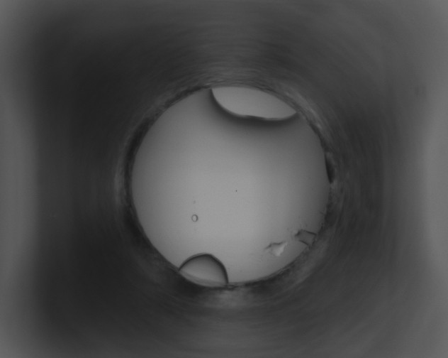 X0000100970306200806241209