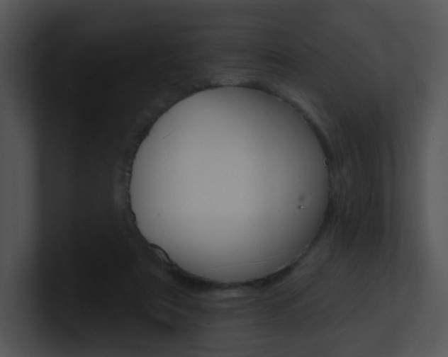 X0000100970307200806241209