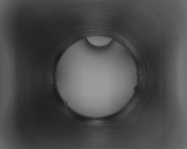 X0000100970313200806241209