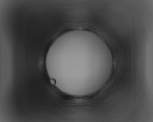 X0000100970314200806241209