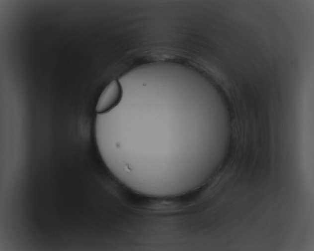 X0000100970315200806241209