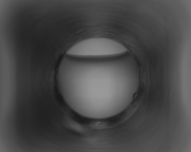 X0000100970319200806241209