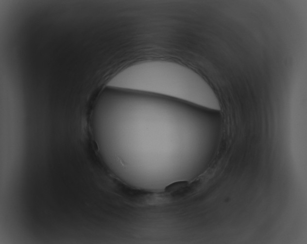 X0000100970320200806241209