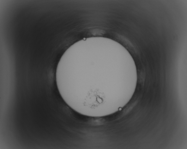 X0000100970321200806241209