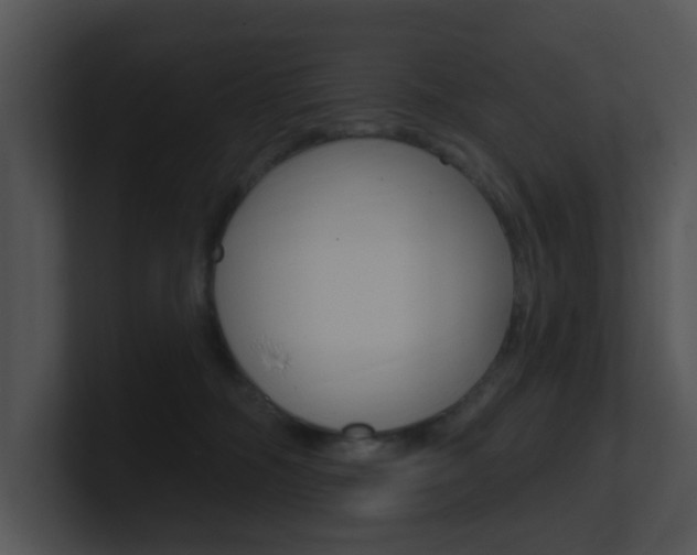 X0000100970326200806241209
