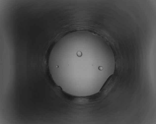 X0000100970327200806241209