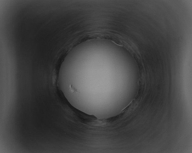 X0000100970328200806241209