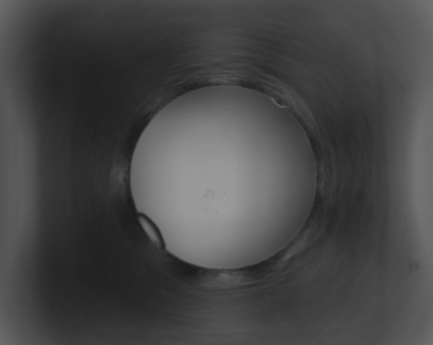 X0000100970329200806241209