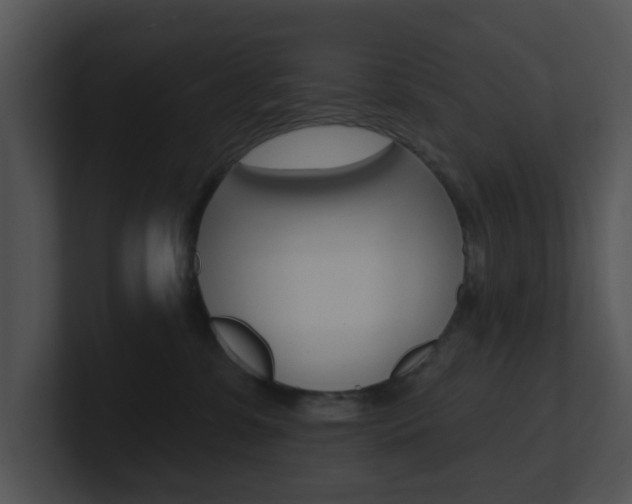 X0000100970331200806241209