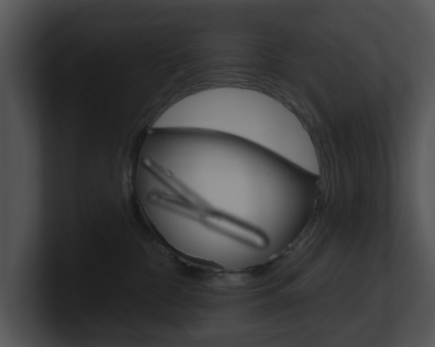 X0000100970332200806241209