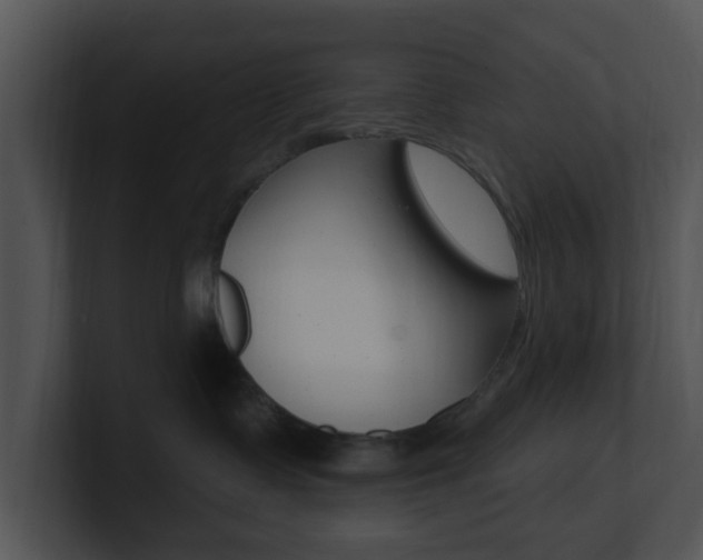 X0000100970335200806241209