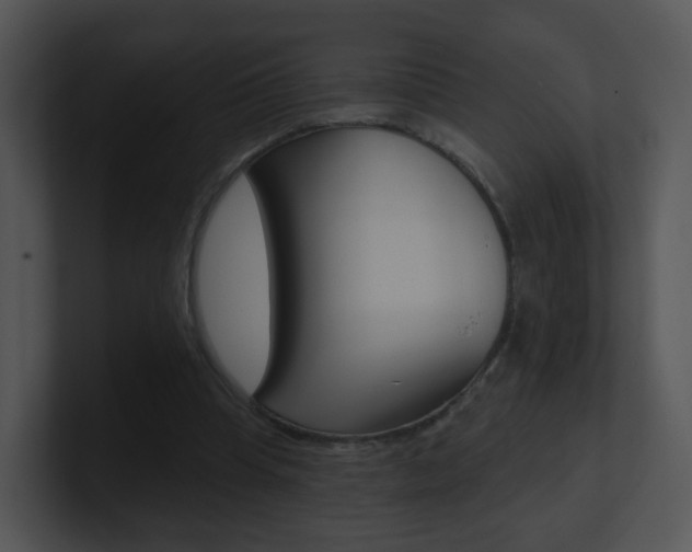 X0000100970345200806241209