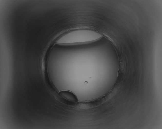 X0000100970350200806241209