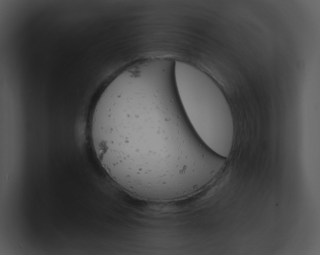 X0000100970351200806241209