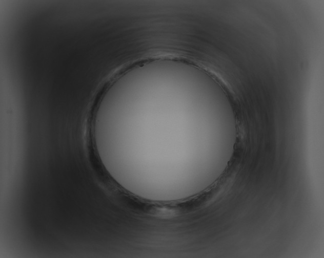 X0000100970352200806241209