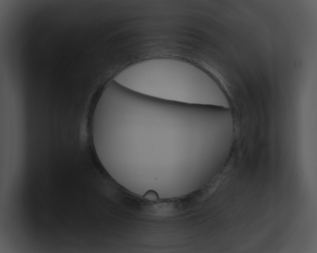 X0000100970353200806241209