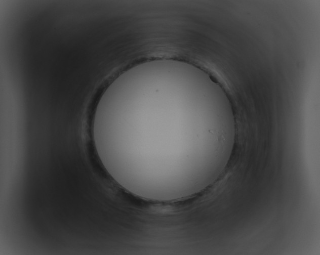 X0000100970354200806241209