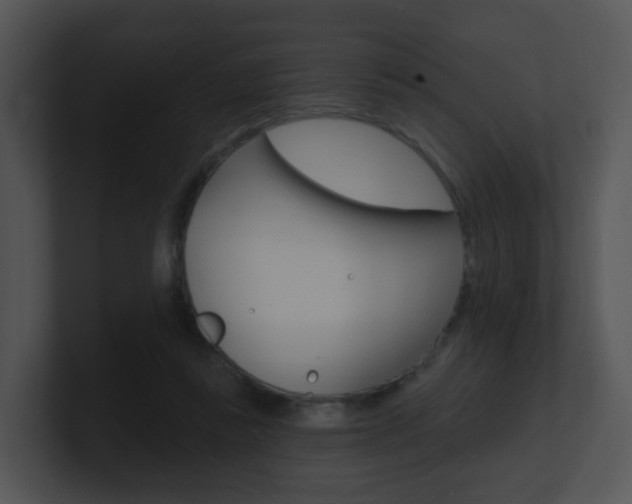 X0000100970355200806241209