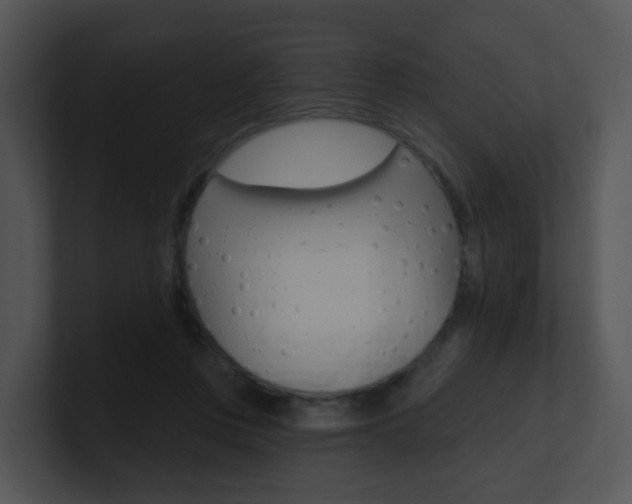 X0000100970359200806241209
