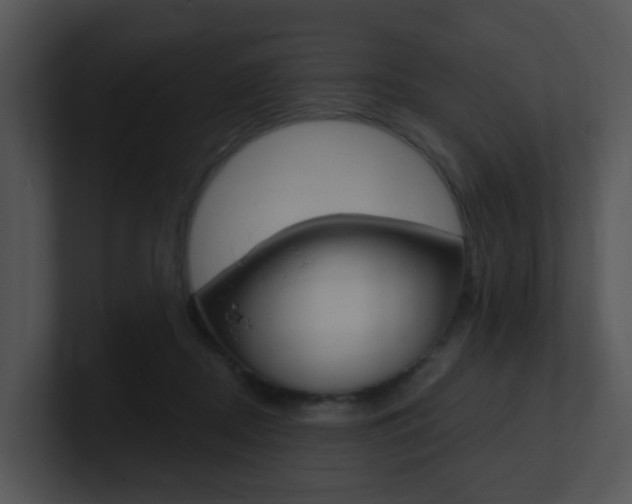 X0000100970362200806241209