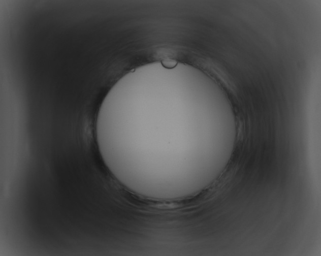 X0000100970363200806241209