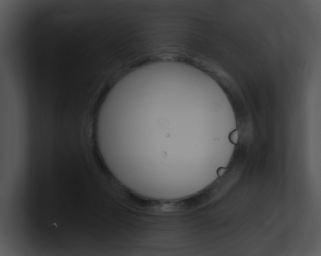 X0000100970365200806241209