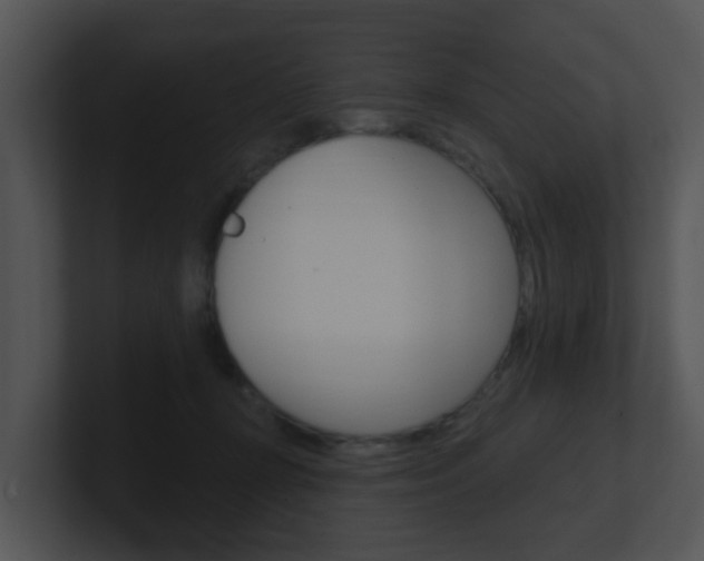 X0000100970367200806241209