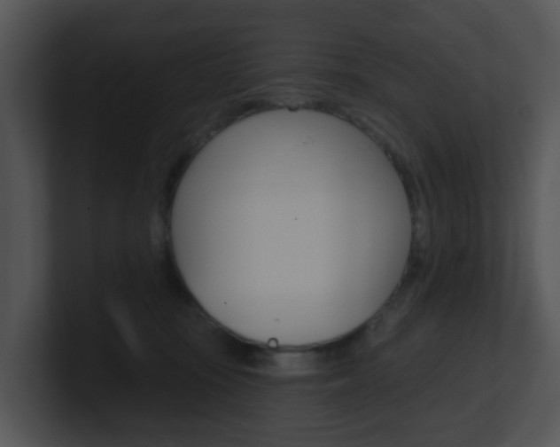 X0000100970371200806241209