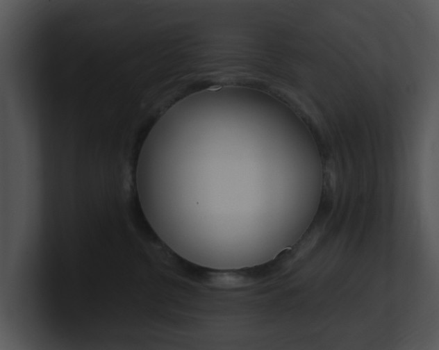 X0000100970380200806241209