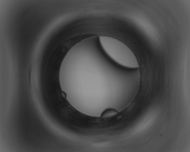 X0000100970383200806241209