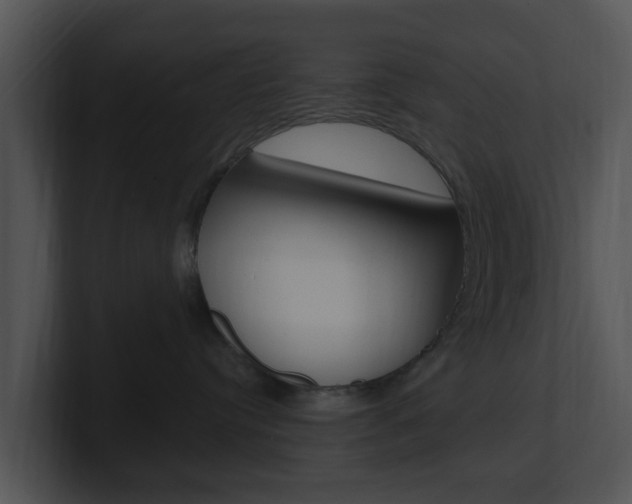 X0000100970384200806241209