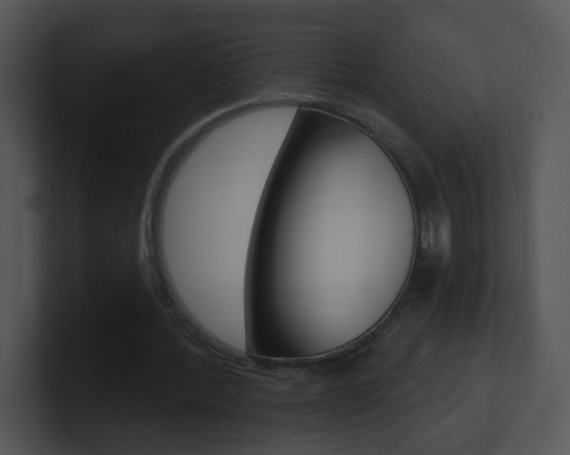 X0000100970388200806241208