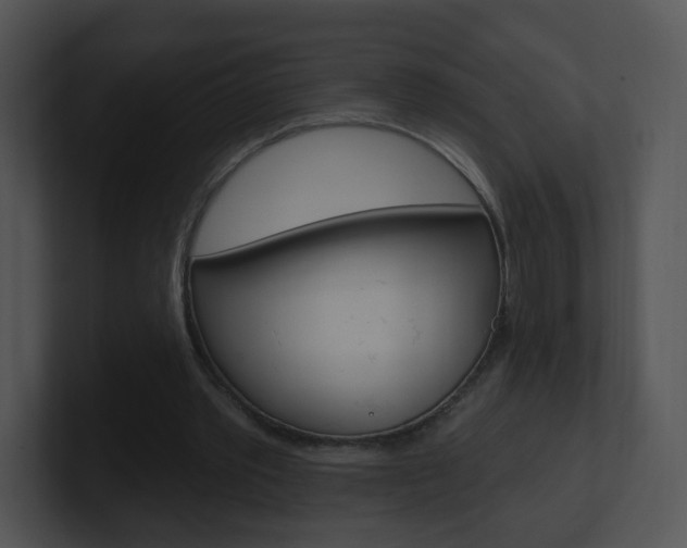X0000100970389200806241208