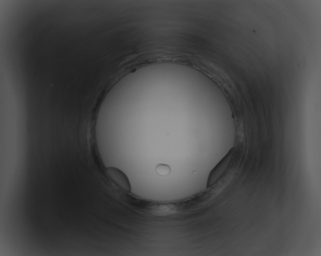 X0000100970409200806241208