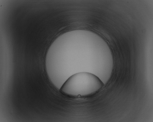 X0000100970413200806241208